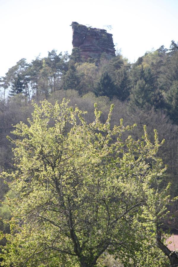 Unnerm Keeshawwe Appartement Gossersweiler-Stein Buitenkant foto